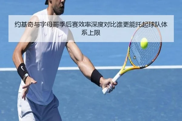 约基奇与字母哥季后赛效率深度对比谁更能托起球队体系上限